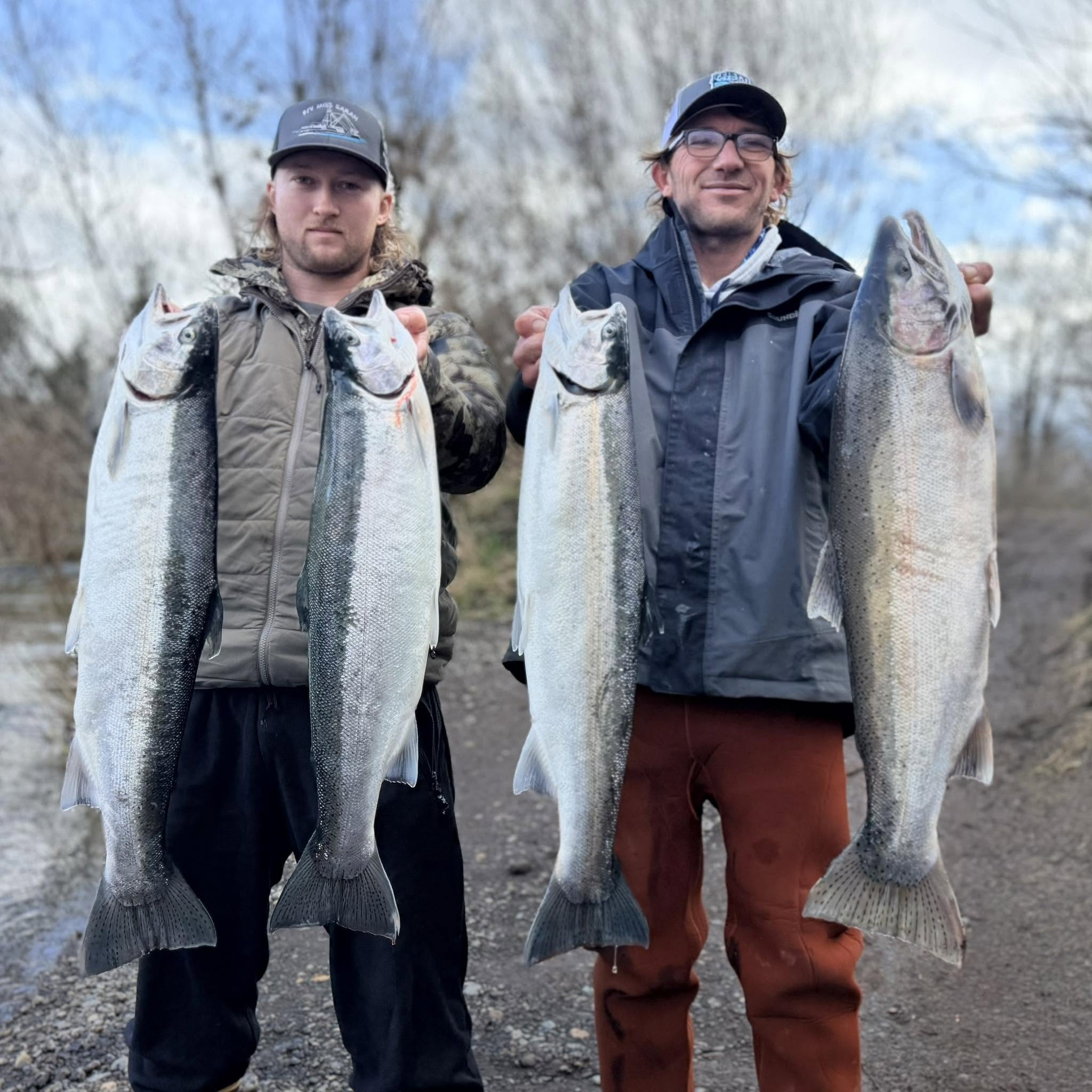 Two Tillamook-area anglers displaying four winter steelhead