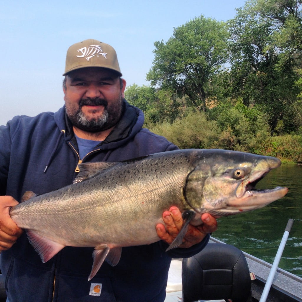 sacramento-river-king-salmon-fishing-feisty-fish-guide-service