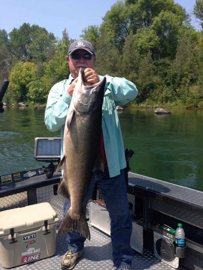 Sacramento River King Salmon fishing