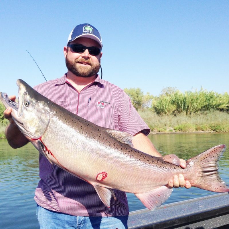 Sacramento River Salmon Fishing Feisty Fish Guide Service