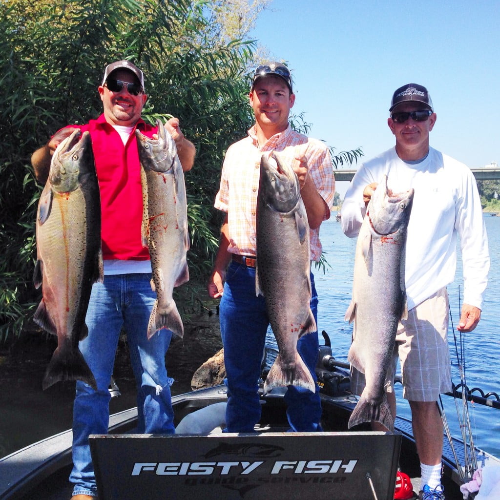 Sacramento River Salmon Fishing