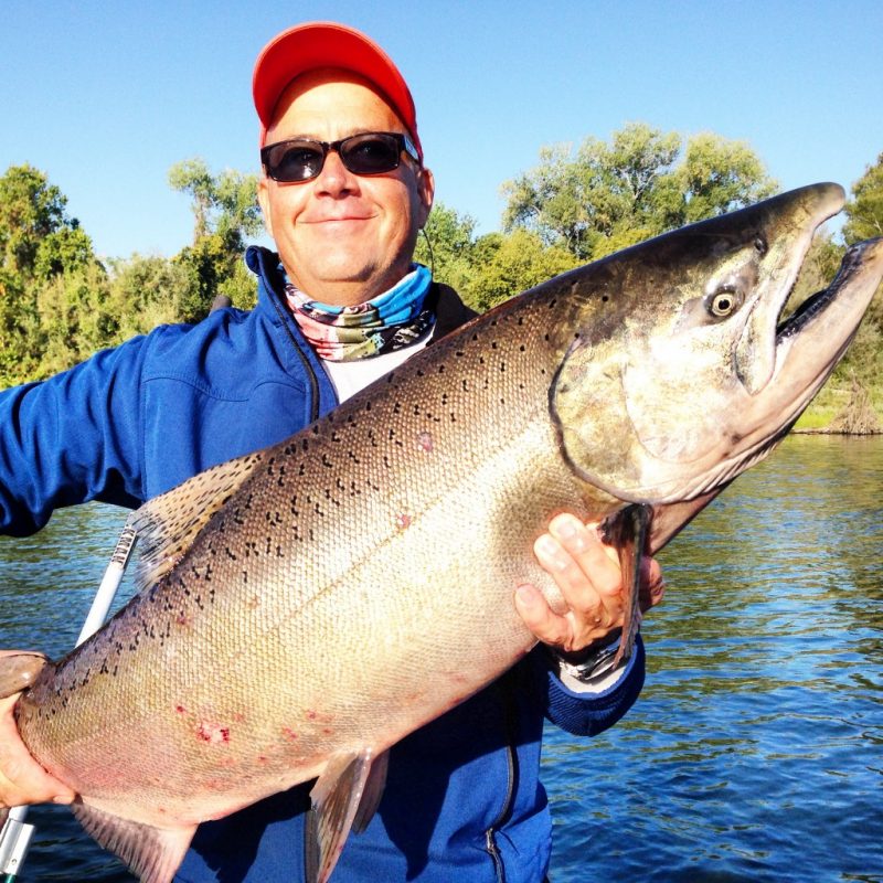 Sacramento River Salmon Fishing