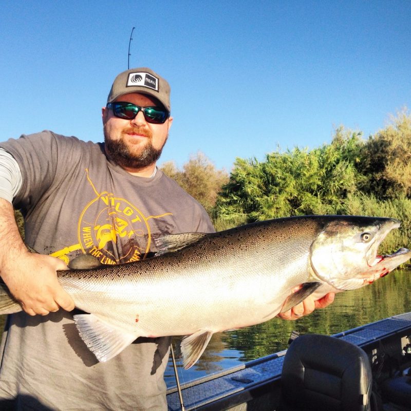 Sacramento River Salmon Fishing – Feisty Fish Guide Service