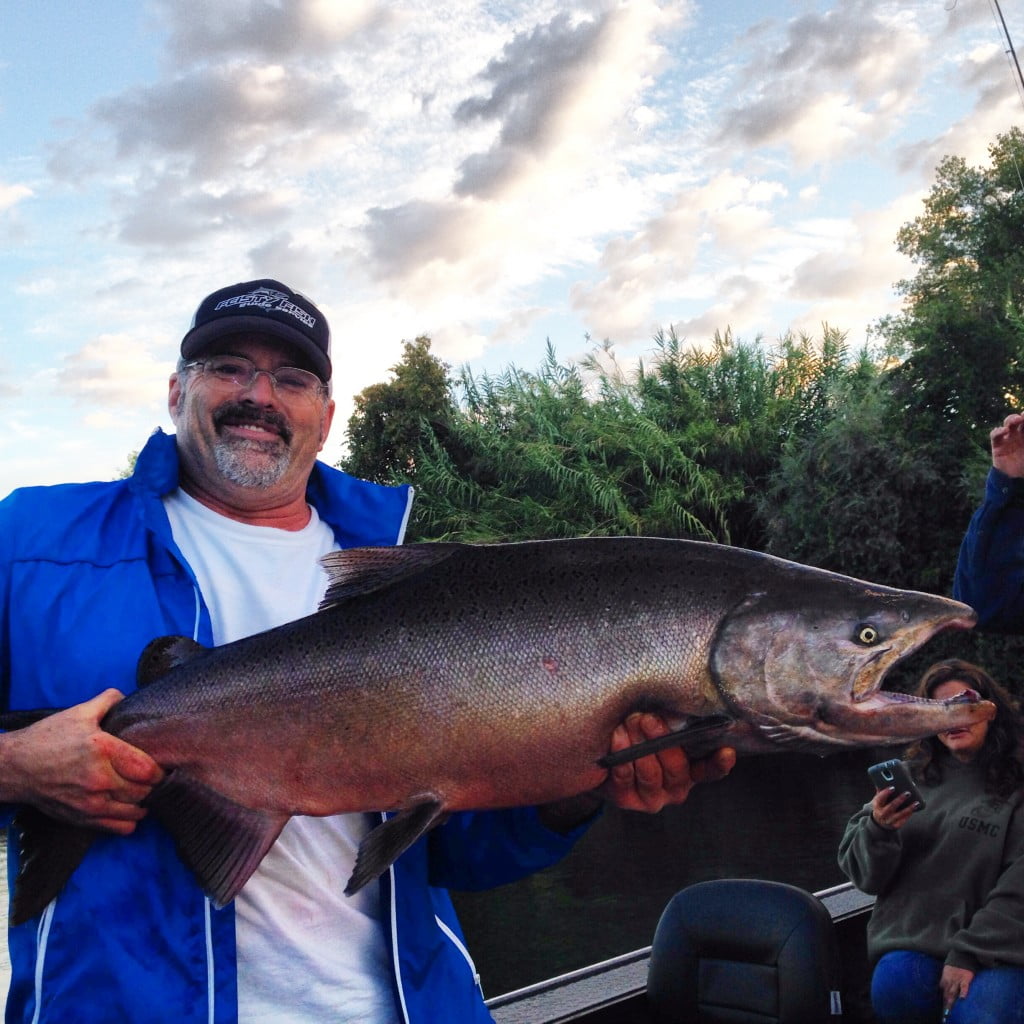 Sacramento River Salmon Fishing Feisty Fish Guide Service