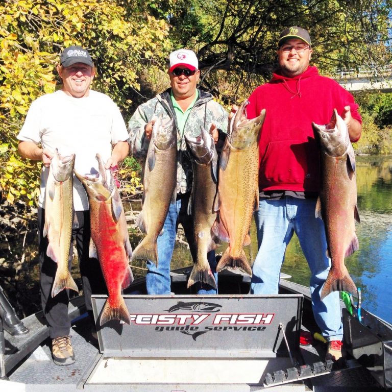 Sacramento River Salmon Fishing – Feisty Fish Guide Service