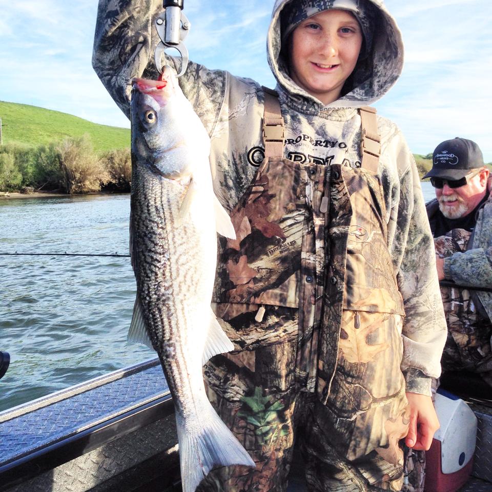 CA Delta Stripers – Feisty Fish Guide Service