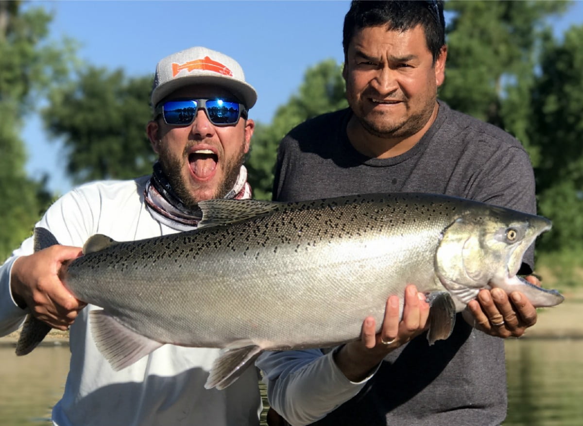 California King Salmon Feisty Fish Guide Service