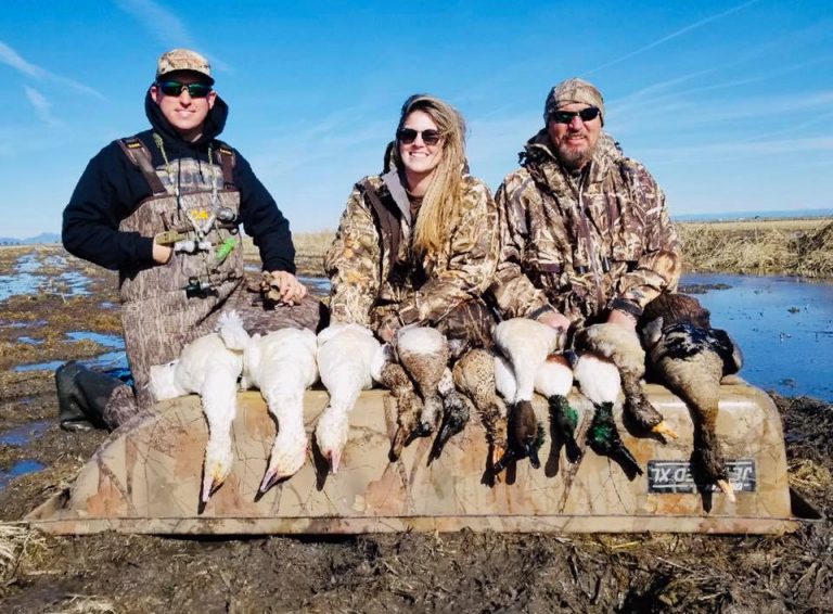 California duck hunting