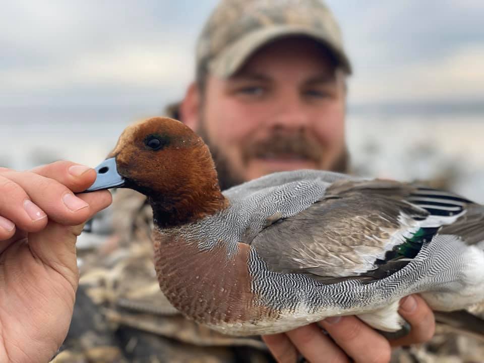 California Waterfowl Hunting